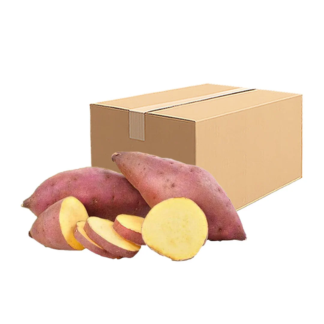 product-main-image