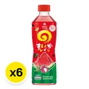 Thumbnail 2 of ICHITAN Green Tea Watermelon Lychee 410 ml x 6