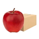 Thumbnail 1 of Reddy Crush Apple Size M pack 10 pcs