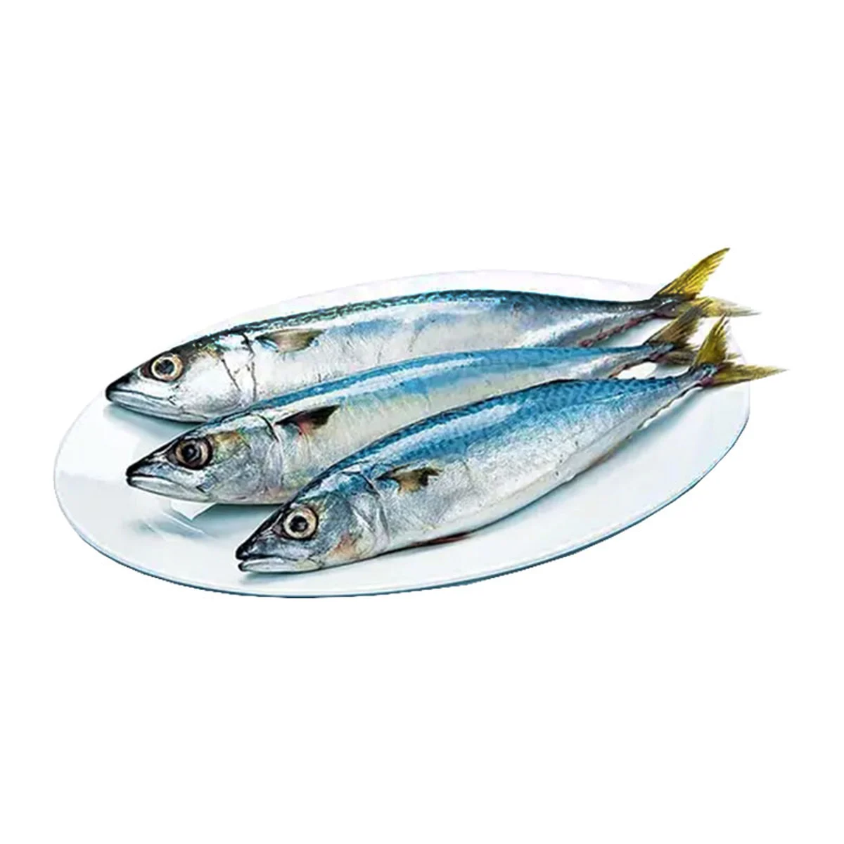 Frozen Mackerel Size L 1 kg