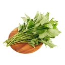 Thumbnail 4 of ใบชะพลู กก.ละ