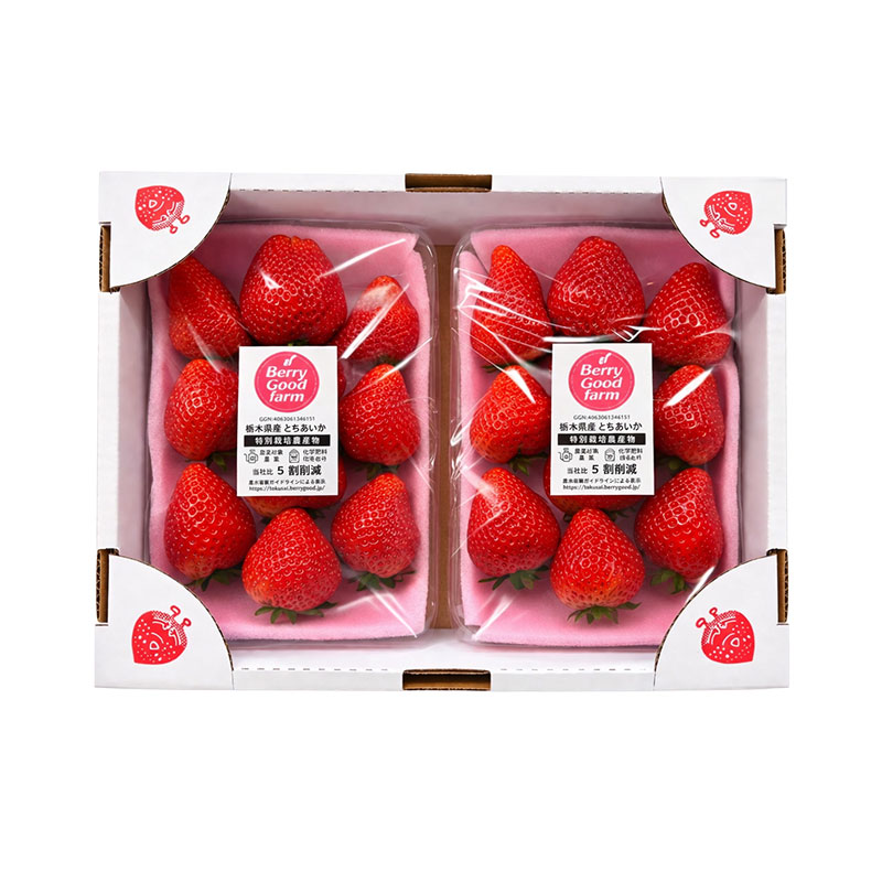 Japan Strawberry Case 270 g x 2
