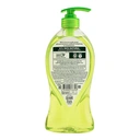 Thumbnail 3 of ปาล์มโอลีฟ เจลอาบน้ำ โทนิค สีเขียว 750 มล.