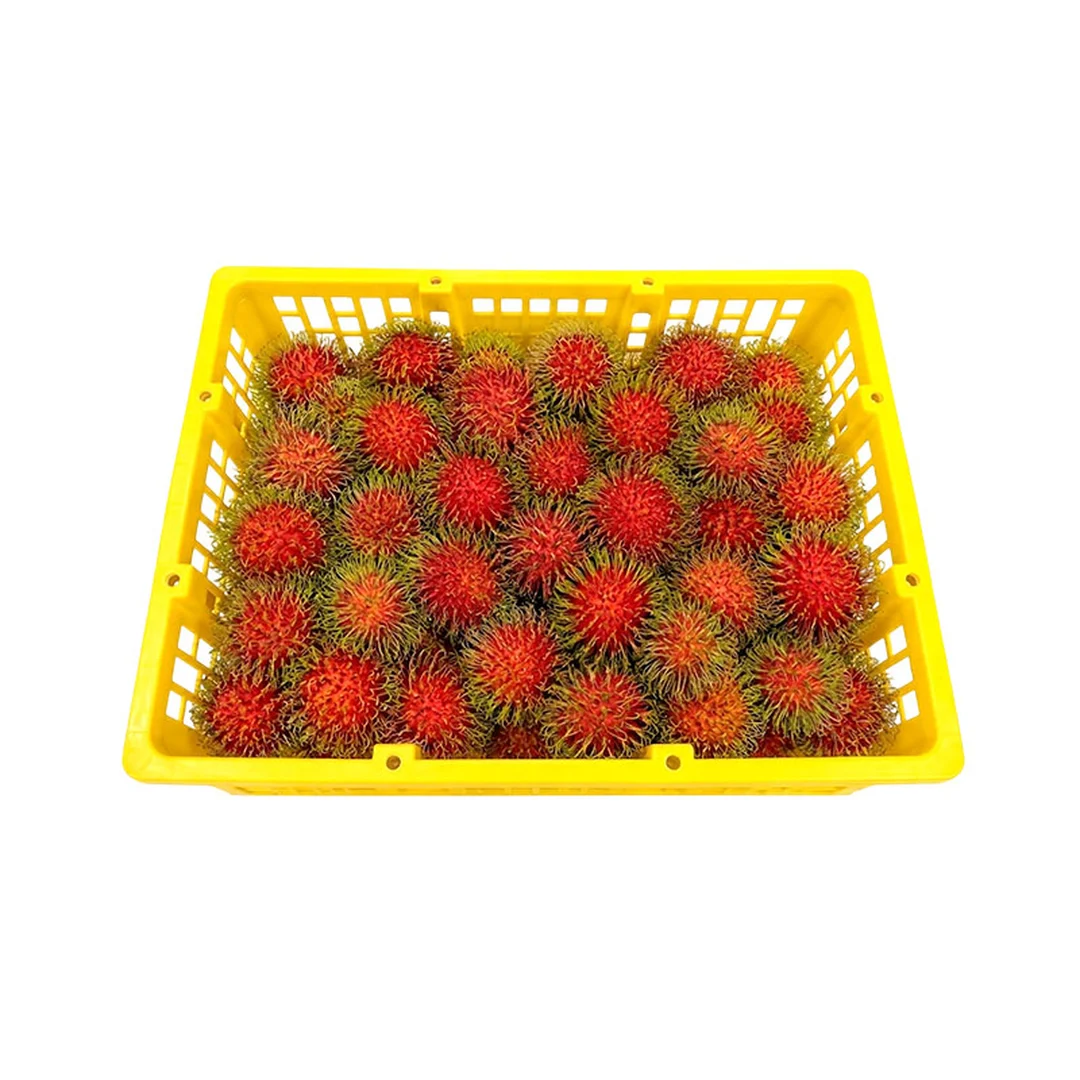 product-main-image