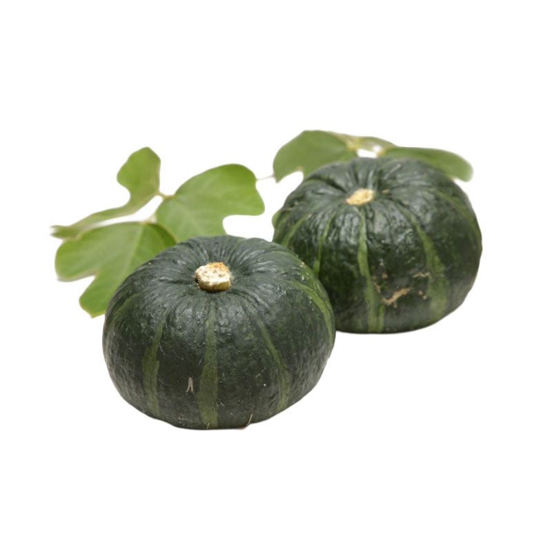 ROYAL PROJECT Mini Pumpkin