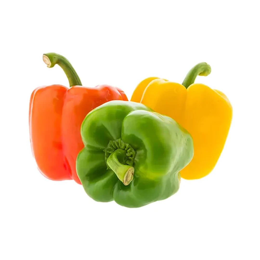 product-main-image
