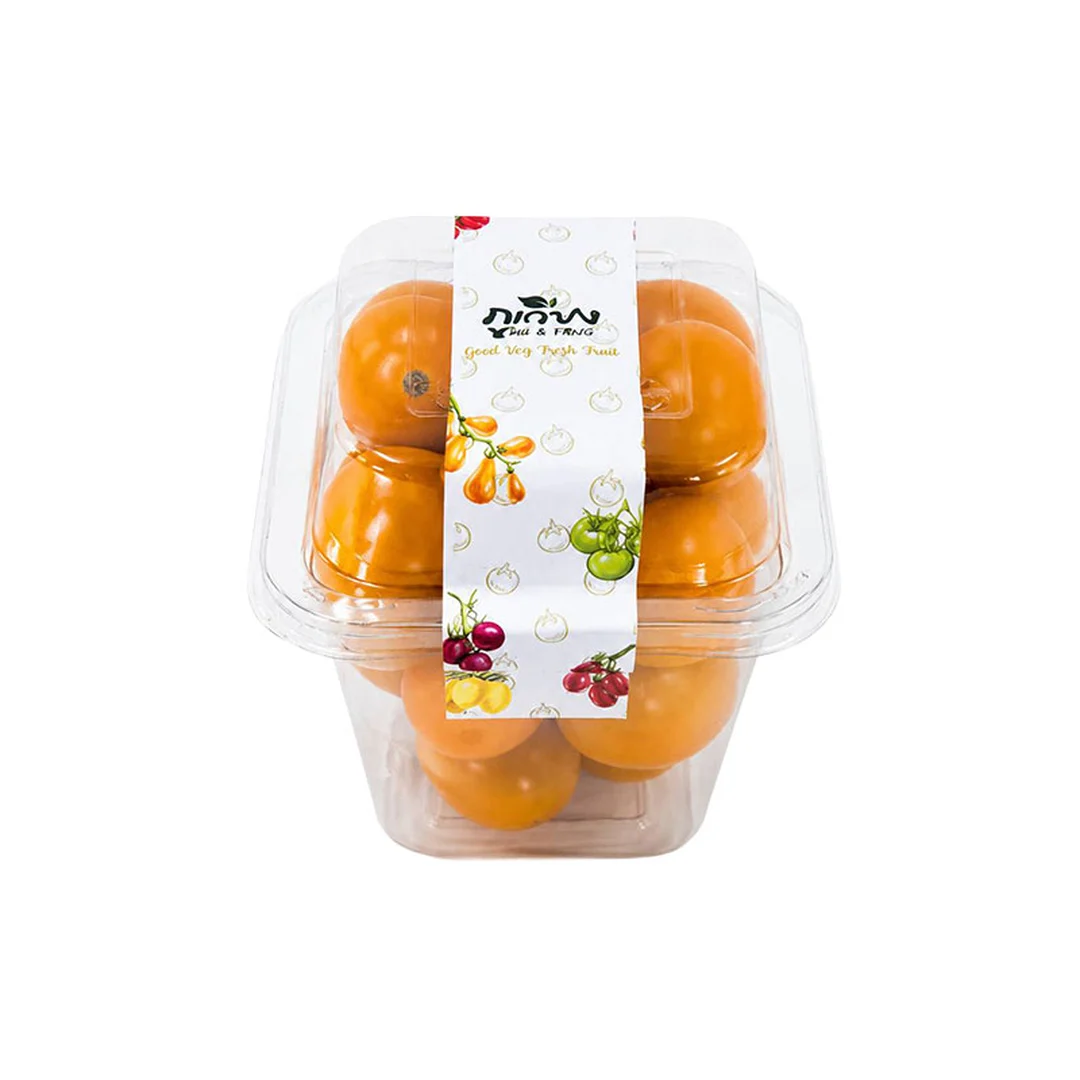product-main-image