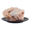 Thumbnail 4 of ไก่ไข่แช่แข็ง 1.2-1.6 กก./ชิ้น