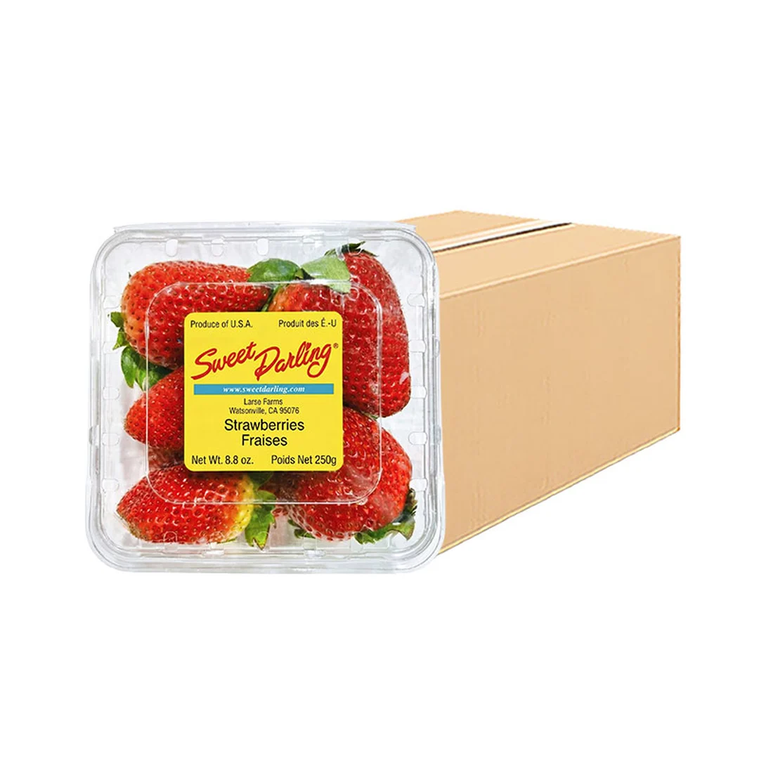 product-main-image