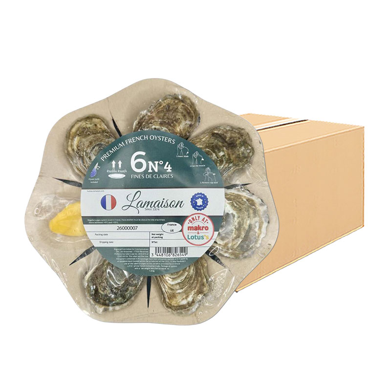 Findeclaire French Oyster NO.4 (6 pcs) Knife Free x 12