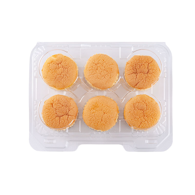 ARO Raisin Sponge Cake 25 g x 6