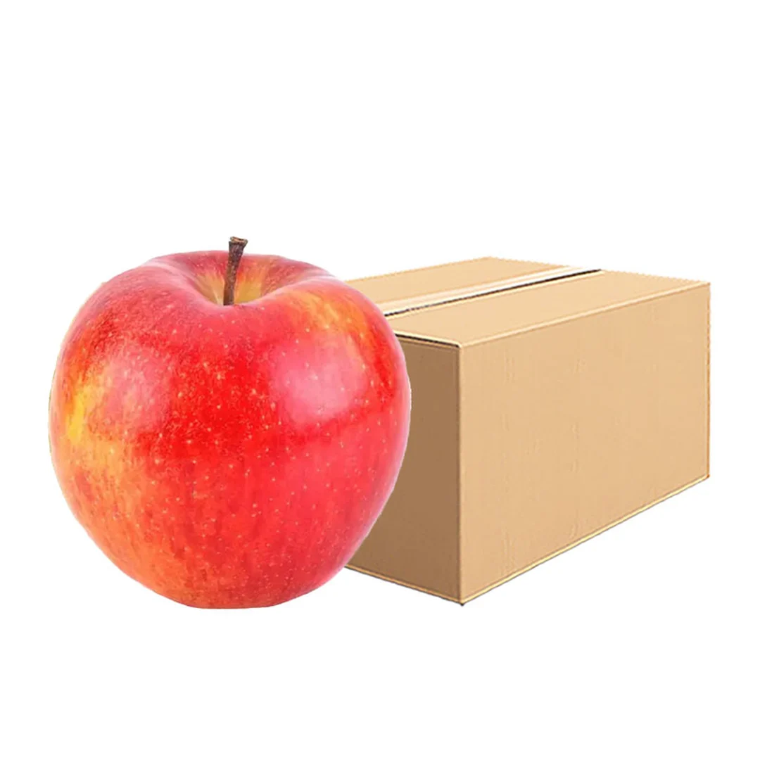 product-main-image