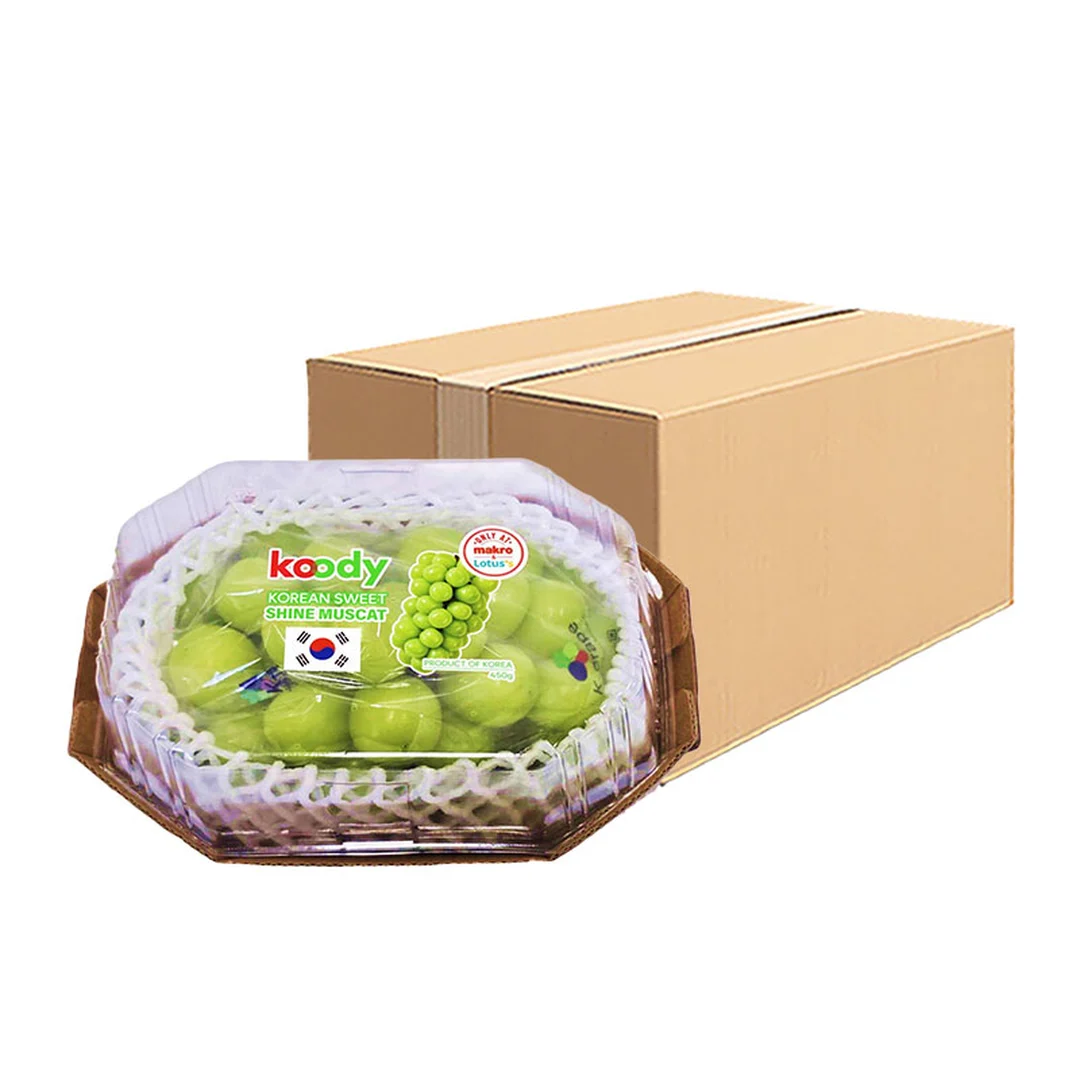 product-main-image