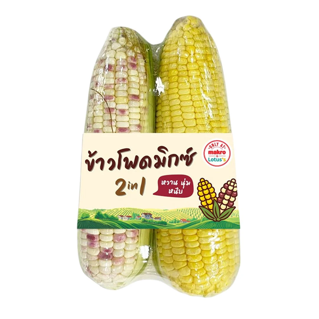 product-main-image