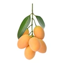 Thumbnail 2 of Marian Plum 500 g