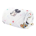 Thumbnail 3 of LT DISNEY ผ้าห่มเย็น60X80 คละลาย