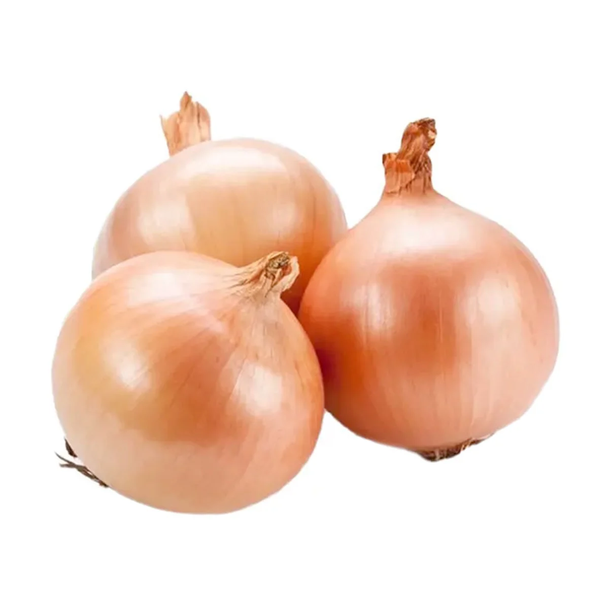 Imported Onion 1 kg