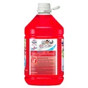 Thumbnail 2 of MAGICLEAN Floor Cleaner Berry Aroma 5 l
