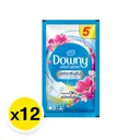 Thumbnail 2 of DOWNY Liquid Concentrate Detergent Sunrise Fresh Blue 29 ml x 12