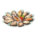 Thumbnail 2 of ซี โปรดักส์ หอยแมลงภู่นิวซีแลนด์ครึ่งฝาแช่แข็ง ขนาด L (ยกลัง) 1 กก.