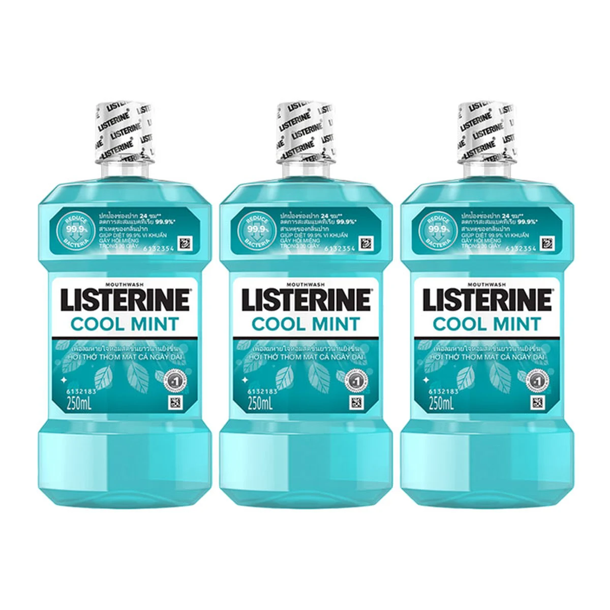 LISTERINE Mouthwash Cool Mint 250 ml x 3
