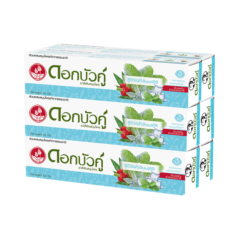 DOKBUAKU Fresh & Cool Toothpaste 100 g x 6
