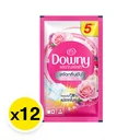 Thumbnail 2 of DOWNY Liquid Concentrate Detergent Garden Bloom Pink 29 ml x 12