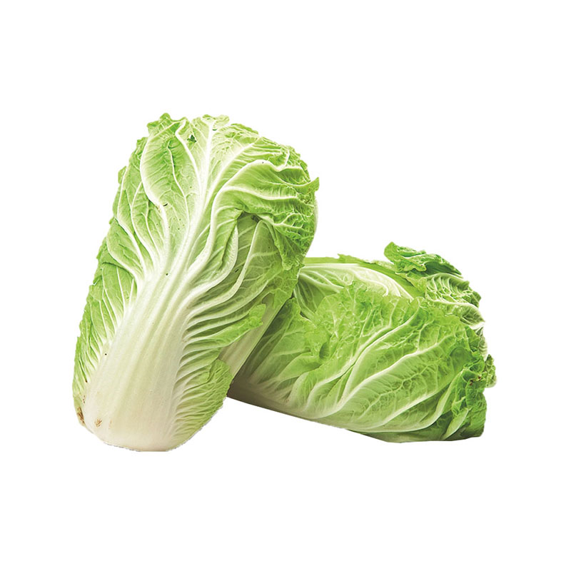 Chinese Cabbage 400-600 g/pcs