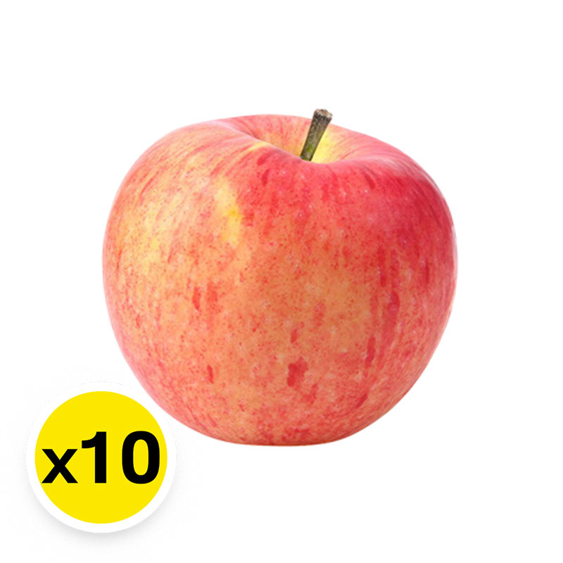 Fuji Apple no.100 pack 10 pcs