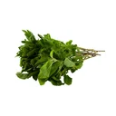 Thumbnail 2 of เอโร่ โกลด์ ใบกระเพราอินทรีย์ 300 ก.