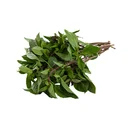 Thumbnail 2 of เอโร่ โกลด์ โหระพา อินทรีย์ 150 ก.