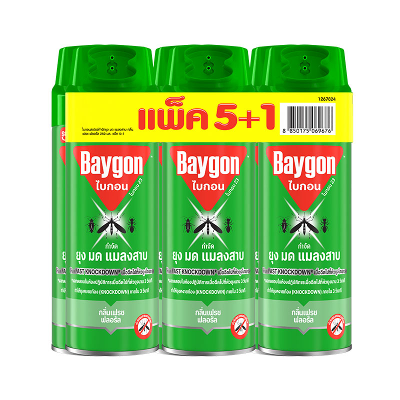BAYGON Insect Repellent Green Spray 250 ml x 5+1