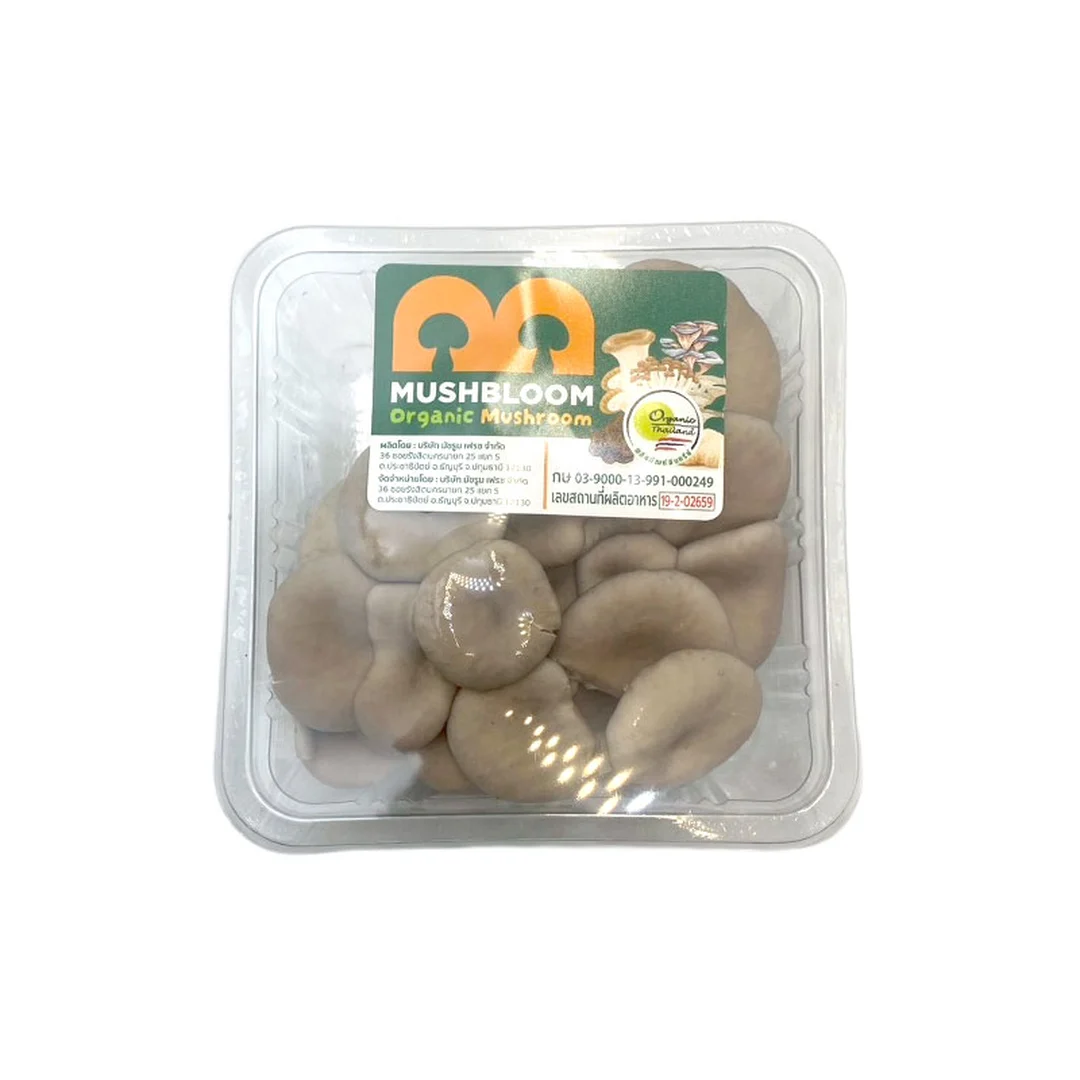 product-main-image