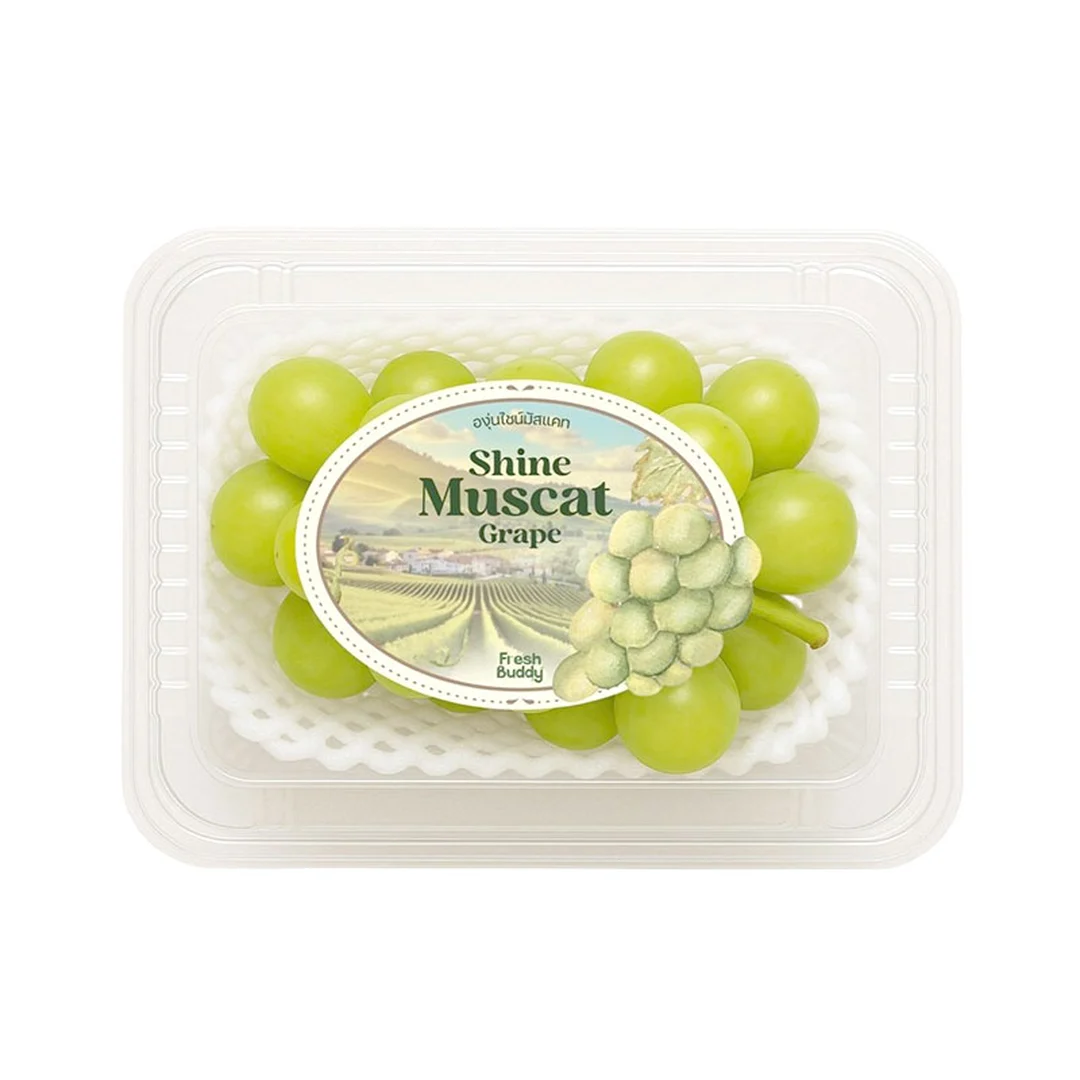 product-main-image