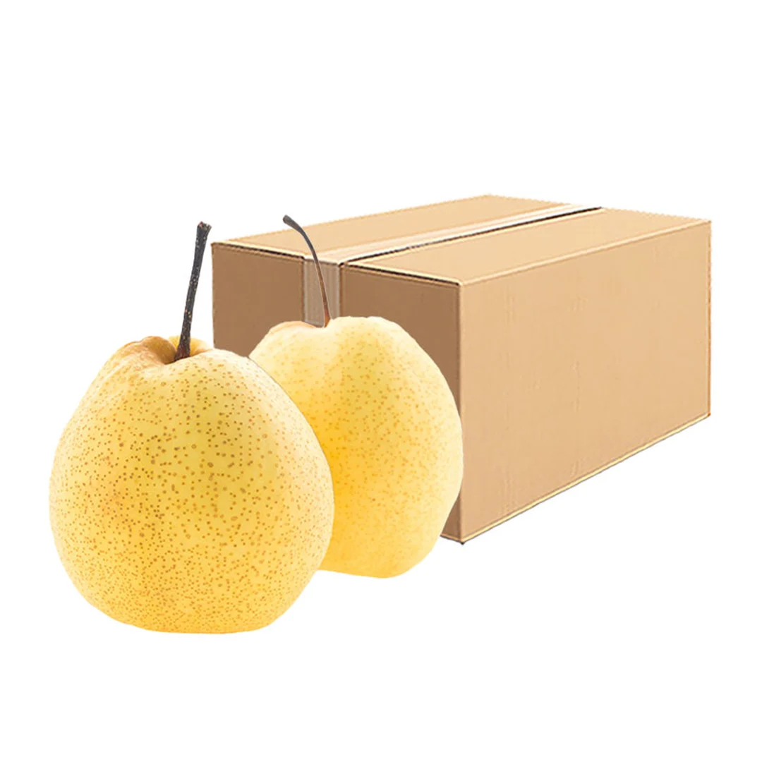 product-main-image