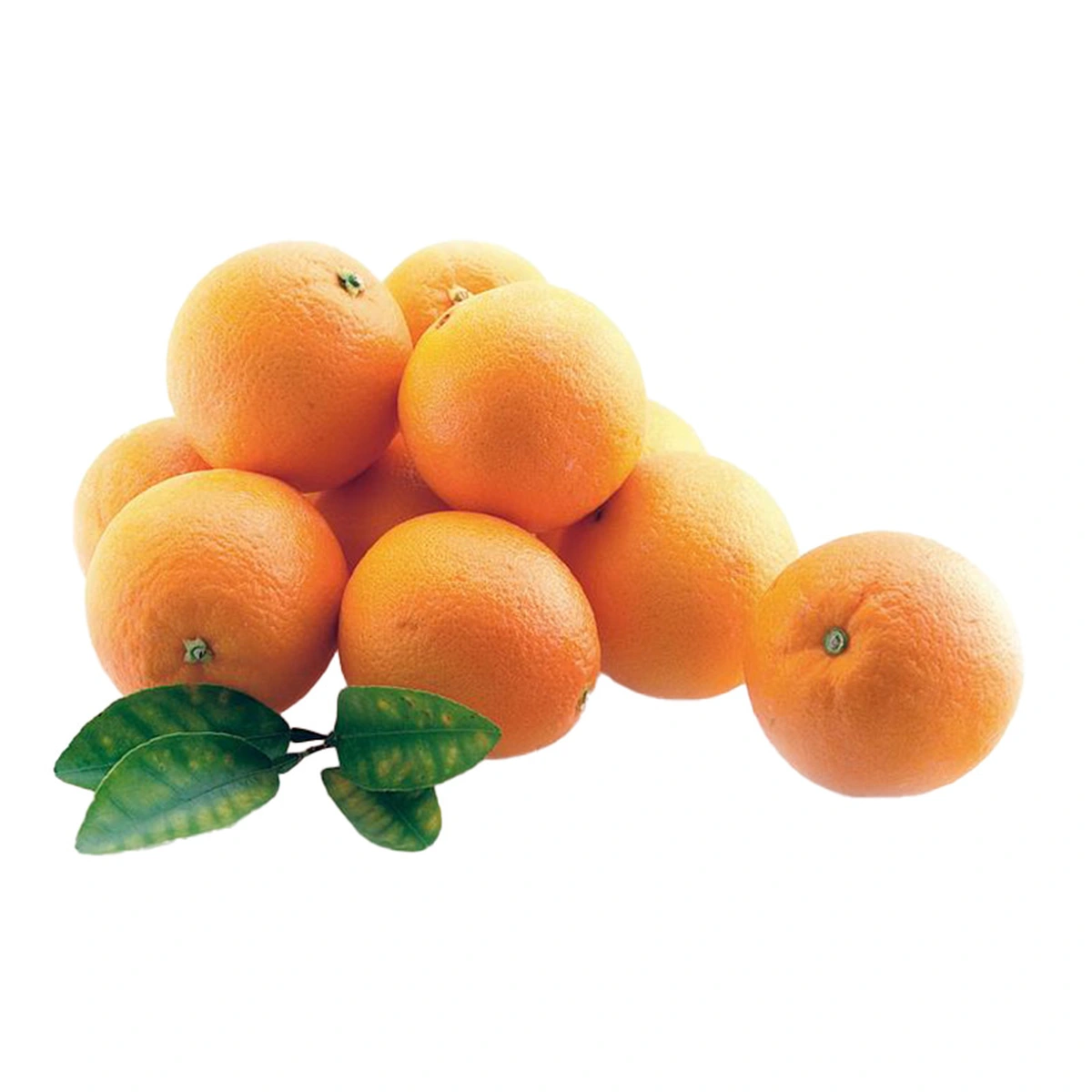 ส้มนาเวล/วาเลนเซียจีน 1 กก.