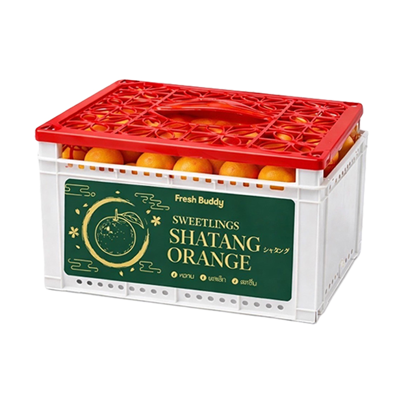Satang Orange 1.5 kg