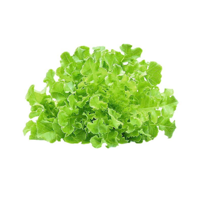 ROYAL PROJECT Mini Green Oak 200 g