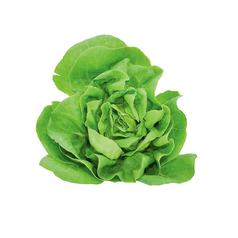 ROYAL PROJECT Butterhead Salad 200 g