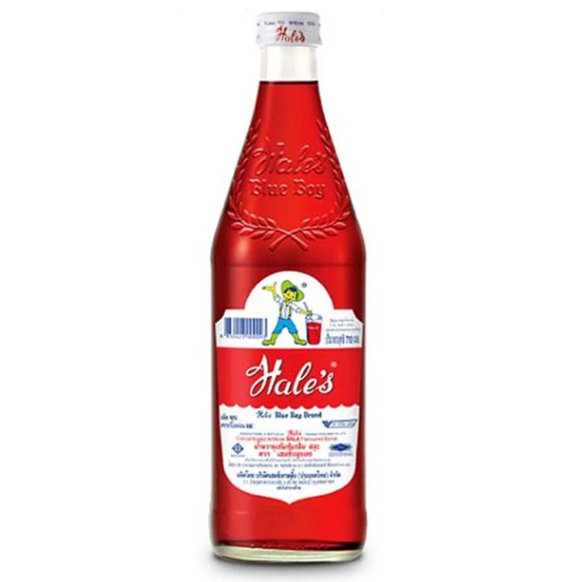 HALE'S BLUE BOY Sala Flavoured Syrup 710 ml