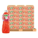 Thumbnail 1 of KATO 25% Orange Juice with Nata de Coco 250 ml 6 bottles 48 packs x 20 cartons