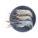 Thumbnail 1 of Female Prawn (M) 1 kg