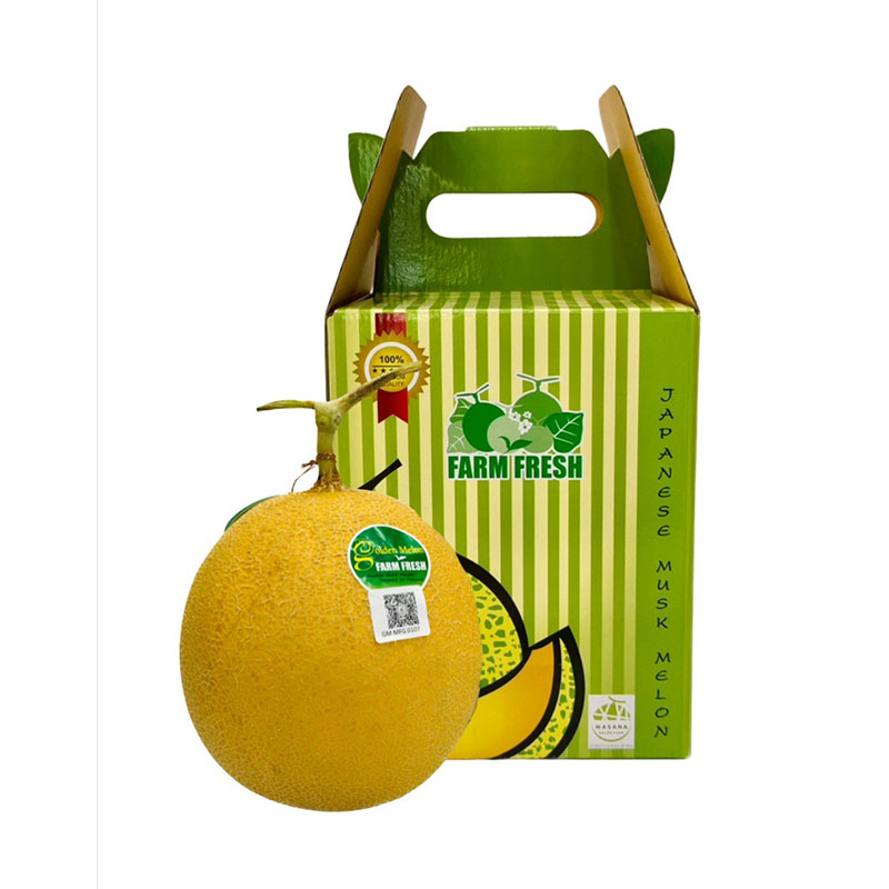 Golden Melon /Box