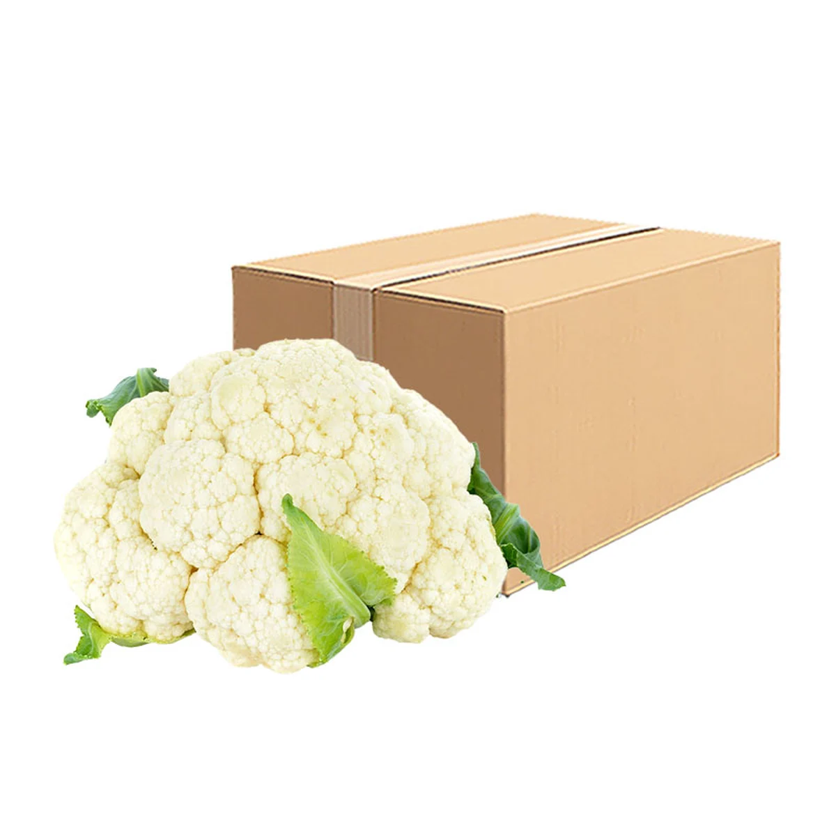 ดอกกะหล่ําขาวจีน ยกลัง 11 กก.