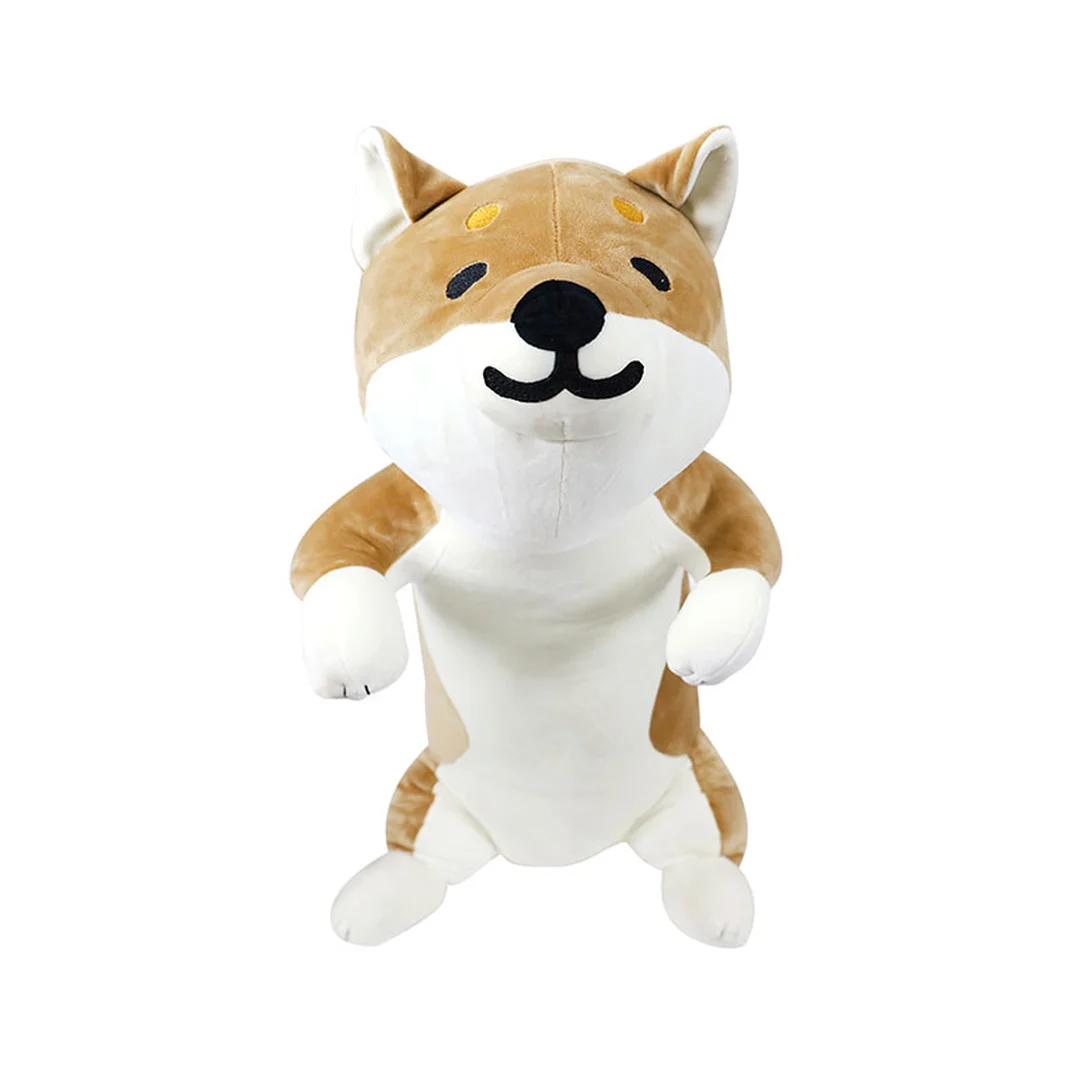 product-main-image