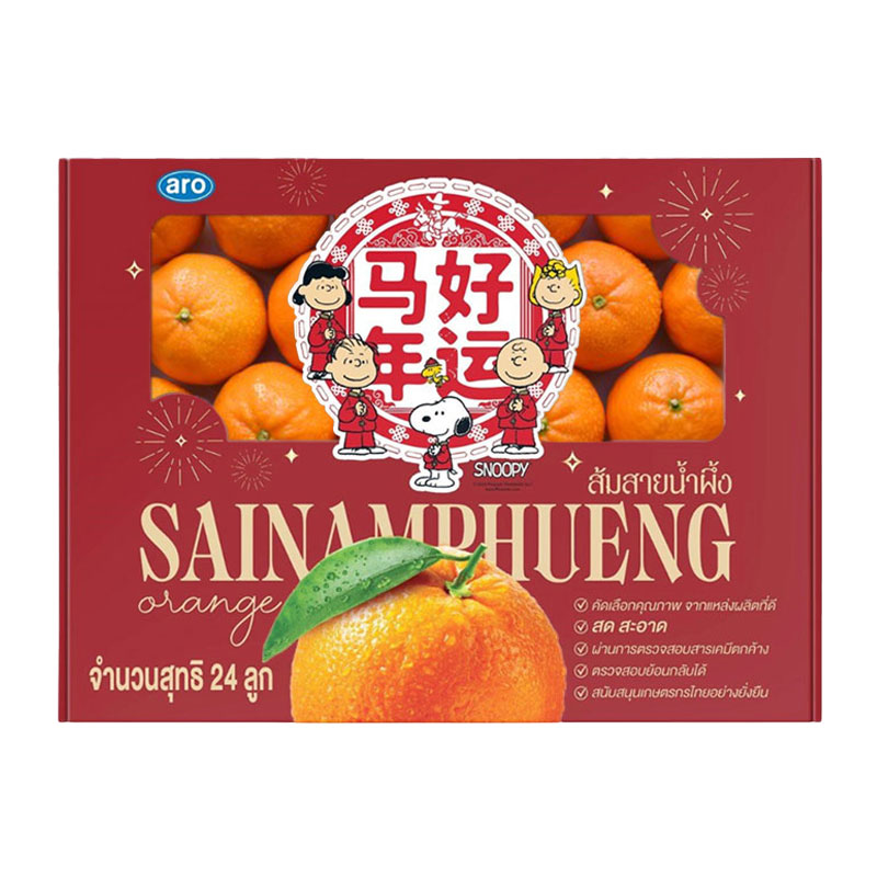 ARO Sainumpung Orange Snoopy Box